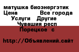 матушка-биоэнергэтик › Цена ­ 1 500 - Все города Услуги » Другие   . Чувашия респ.,Порецкое. с.